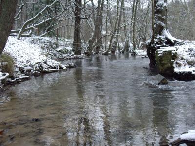 Bachlauf im Winter 2