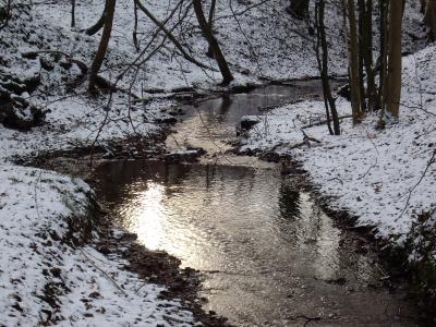 Bachlauf im Winter 3