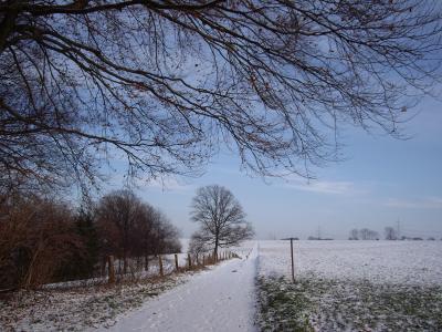 Feldweg im Schnee