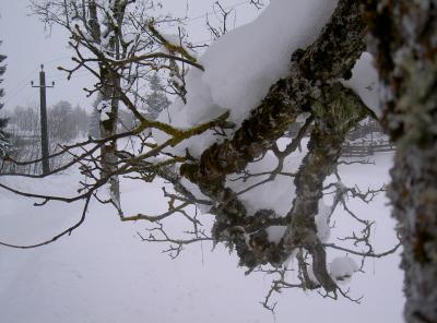 Winterland in Österreich