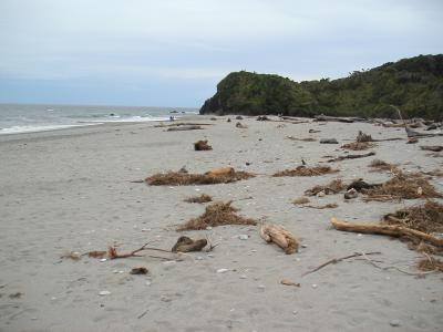 einsamer Strand Südinsel