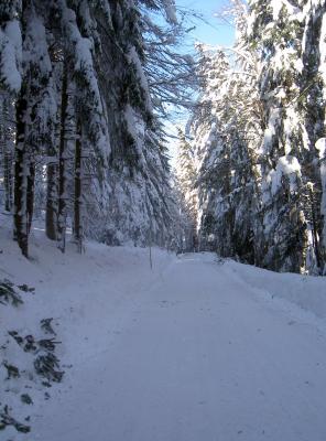Winterlandschaft 2006