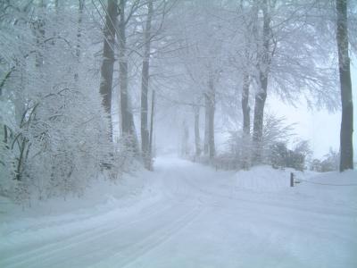 Kreuzung im Schnee