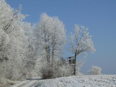 Winterreif im Odenwald, Serie 2