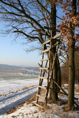 Winterlandschaft im Vogtland