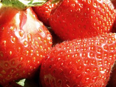 Erdbeeren nah