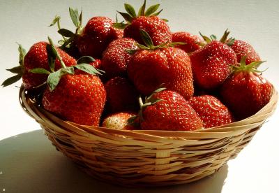 Erdbeeren selbs gepflückt