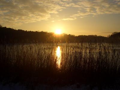 Winterstimmung