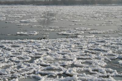 Kampf gegen Eis und Strömung