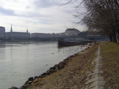 Nibelungenbrücke in Linz