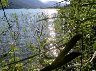 Weissensee in Kärnten