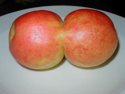 Siamesische Äpfel