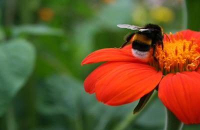 Abstecher nach Orange