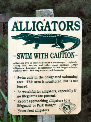 Achtung, Alligatoren!