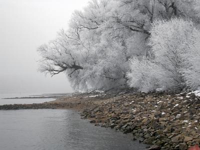 Rhein-Ufer im Winter