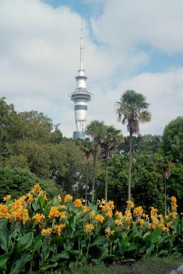 Auckland Fernsehturm