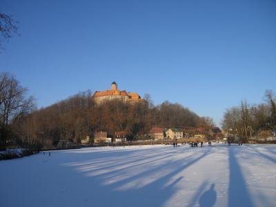 Burg Schönfels 1