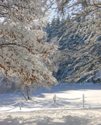 Winterlandschaft