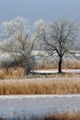 Winterlandschaft 2