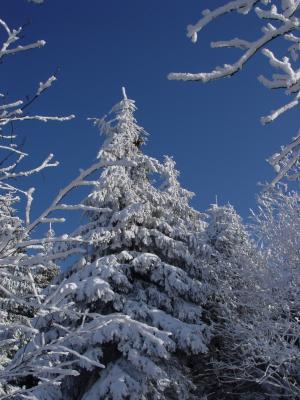 Winterzauber auf dem Bärenstein