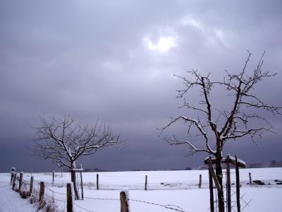 Winterlandschaft 1