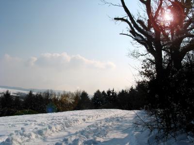 Winter auf den Höhen von Gusterath