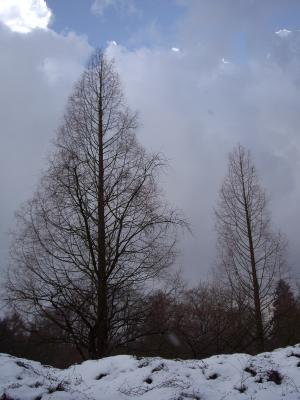 Wintergewitter 5