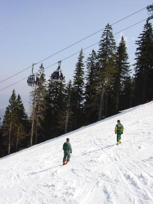 Ski fahren am Arber