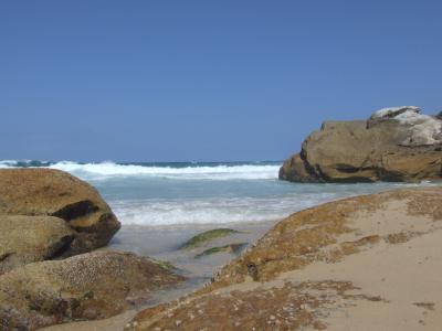 tamarama beach