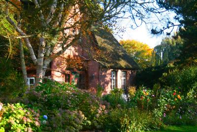 Herbstlicher Garten