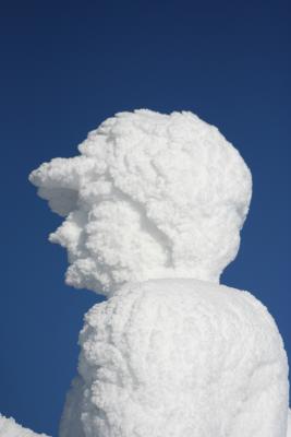 Echter Schneemann