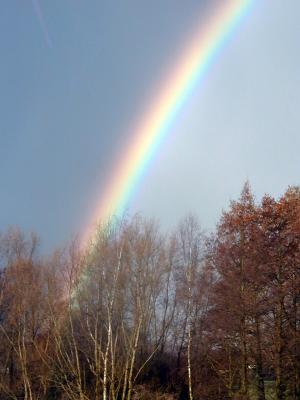 Regenbogen2