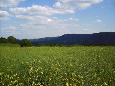 Raps und Berge