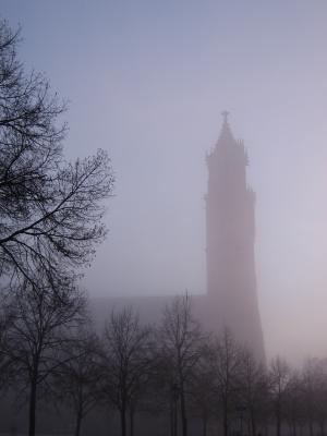 Magdeburger Dom bei Nebel