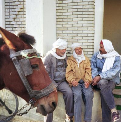 Drei  Araber und ein Esel
