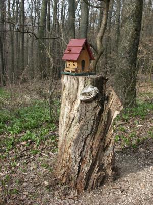 Vogelhaus im Wienerwald