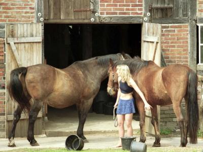 Ein Mädchen mit zwei Pferden in Hammfelde