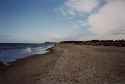 Strand in Dänemark