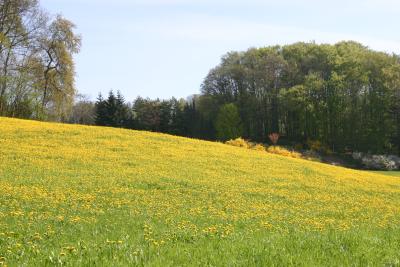 so schön kann Frühling sein