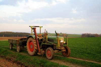 Fendt-Traktor in der Abendsonne