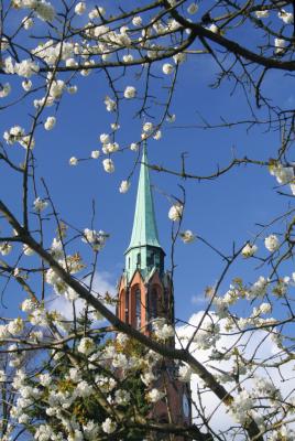 Kirchturm in Blüten
