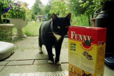 Unsere Katze Luzi(fer) im Jahr 2001