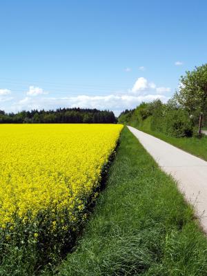 Grünstreifen