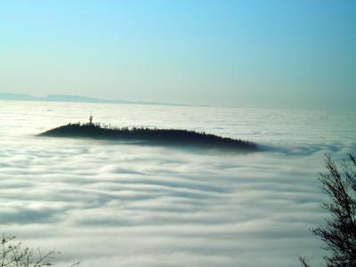 Fremersberg-Nebel