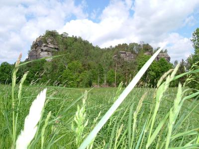 als ob das gras im winde weht