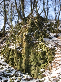 Basalt im Wald