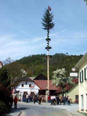 Maibaum aufstellen - 3