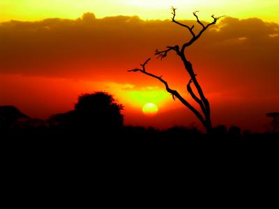 Sonnenuntergang im Amboseli Wildreservat in Kenya