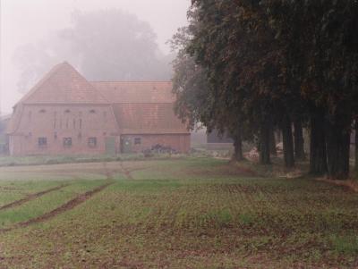 Ein Bauernhof im Nebel