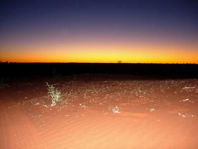 Sanddüne im Herzen Australiens